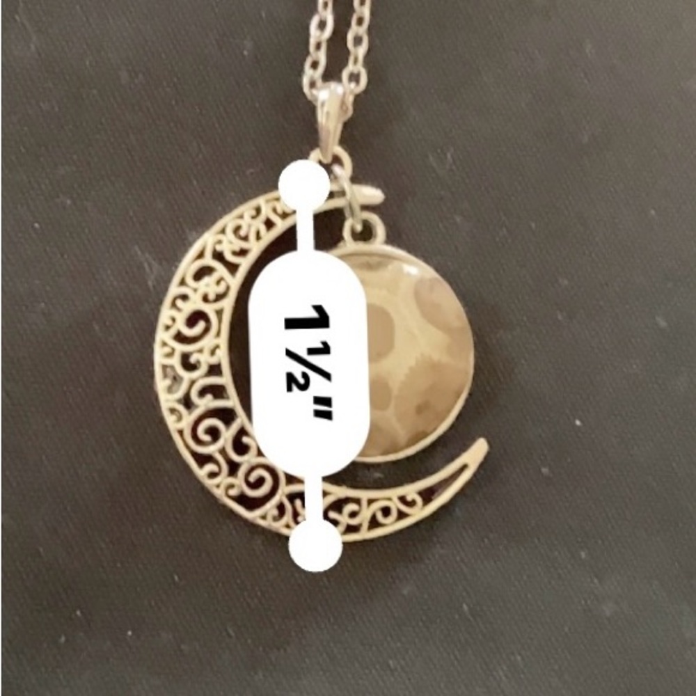 Petoskey Stone Necklace - image 7